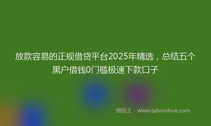 放款容易的正规借贷平台2025年精选，总结五个黑户借钱0门槛极速下款口子