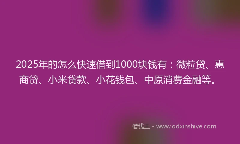 2025年的怎么快速借到1000块钱有：微粒贷、惠商贷、小米贷款、小花钱包、中原消费金融等。