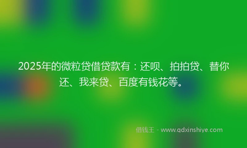 2025年的微粒贷借贷款有：还呗、拍拍贷、替你还、我来贷、百度有钱花等。