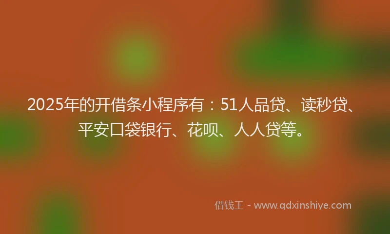 2025年的开借条小程序有：51人品贷、读秒贷、平安口袋银行、花呗、人人贷等。