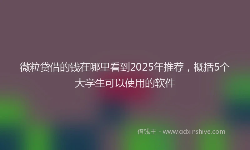 微粒贷借的钱在哪里看到2025年推荐，概括5个大学生可以使用的软件