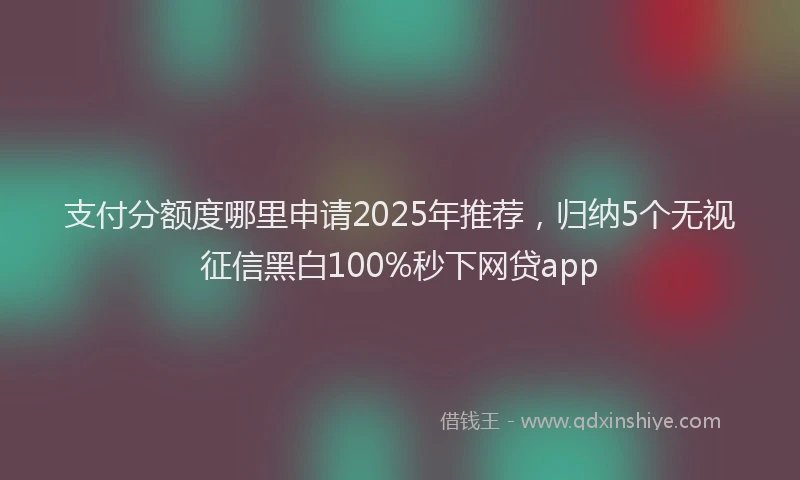 支付分额度哪里申请2025年推荐，归纳5个无视征信黑白100%秒下网贷app
