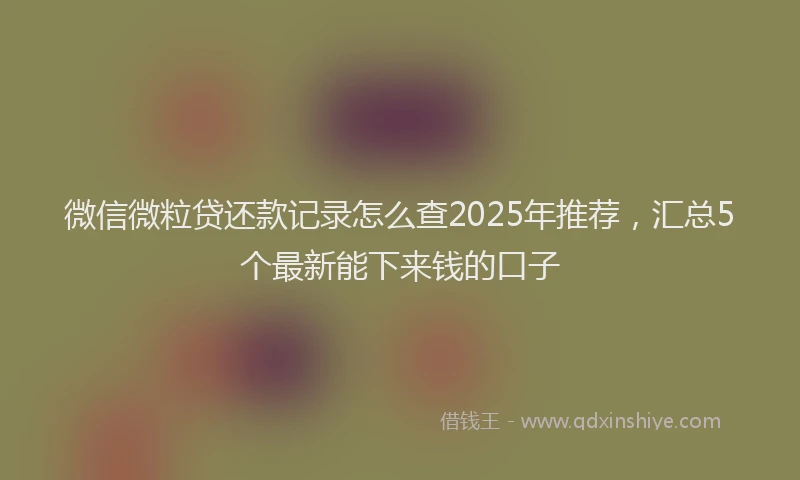 微信微粒贷还款记录怎么查2025年推荐，汇总5个最新能下来钱的口子