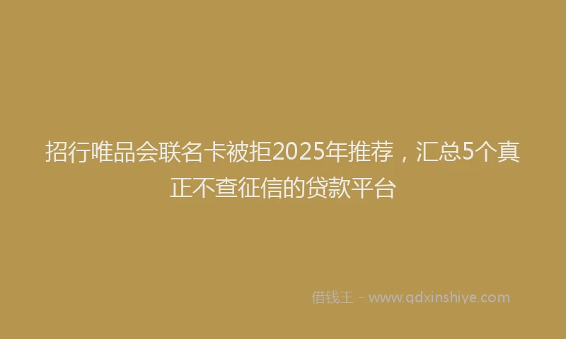 招行唯品会联名卡被拒2025年推荐，汇总5个真正不查征信的贷款平台