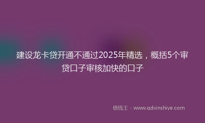 建设龙卡贷开通不通过2025年精选，概括5个审贷口子审核加快的口子