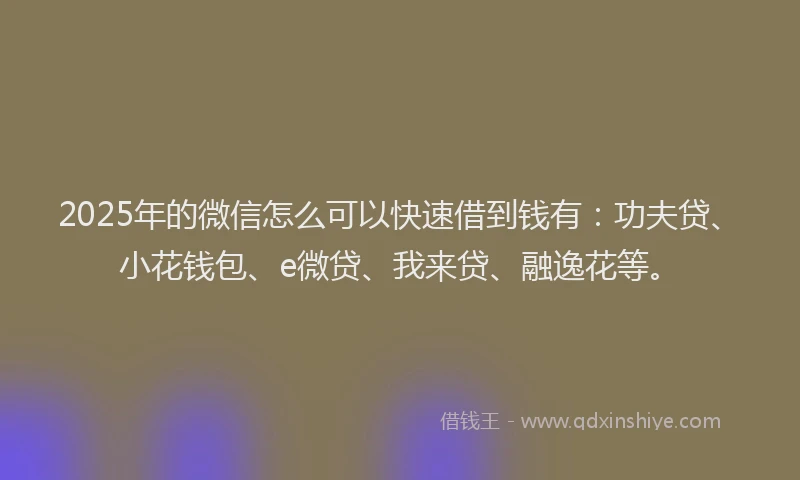 2025年的微信怎么可以快速借到钱有：功夫贷、小花钱包、e微贷、我来贷、融逸花等。