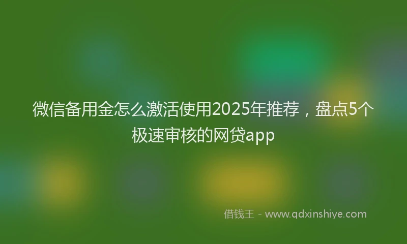 微信备用金怎么激活使用2025年推荐，盘点5个极速审核的网贷app