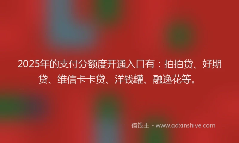 2025年的支付分额度开通入口有：拍拍贷、好期贷、维信卡卡贷、洋钱罐、融逸花等。