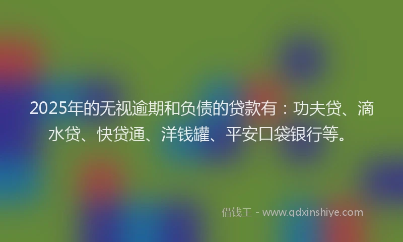 2025年的无视逾期和负债的贷款有：功夫贷、滴水贷、快贷通、洋钱罐、平安口袋银行等。