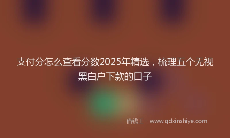 支付分怎么查看分数2025年精选，梳理五个无视黑白户下款的口子