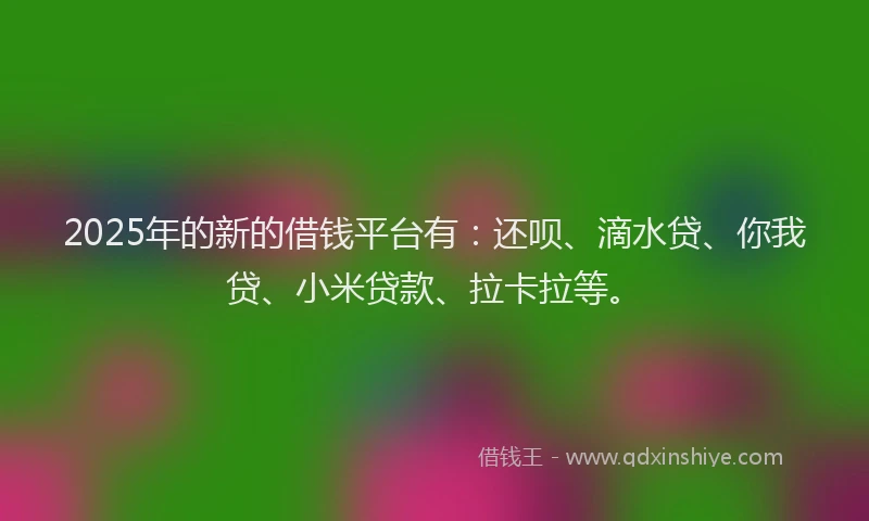 2025年的新的借钱平台有：还呗、滴水贷、你我贷、小米贷款、拉卡拉等。