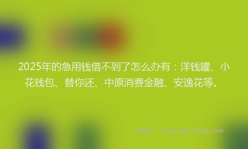 2025年的急用钱借不到了怎么办有：洋钱罐、小花钱包、替你还、中原消费金融、安逸花等。