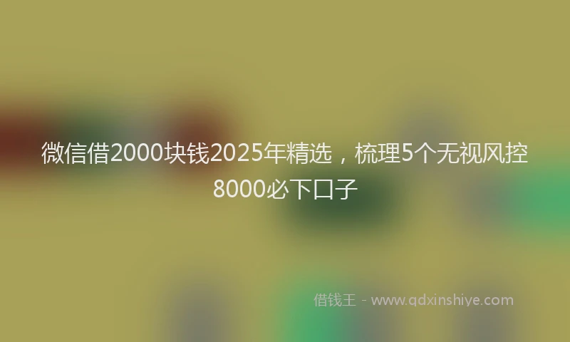 微信借2000块钱2025年精选，梳理5个无视风控8000必下口子