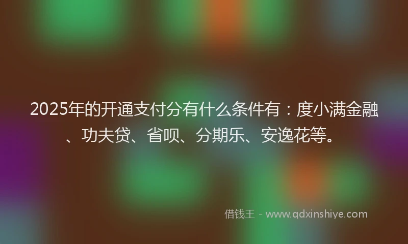 2025年的开通支付分有什么条件有：度小满金融、功夫贷、省呗、分期乐、安逸花等。