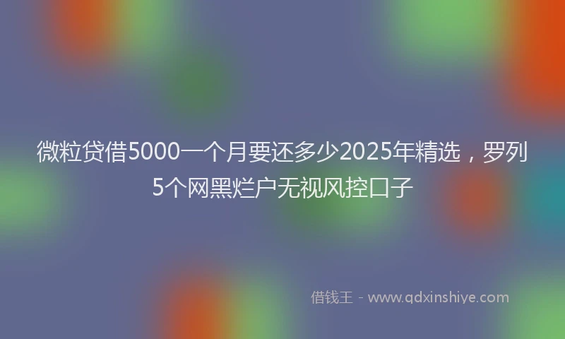 微粒贷借5000一个月要还多少2025年精选，罗列5个网黑烂户无视风控口子
