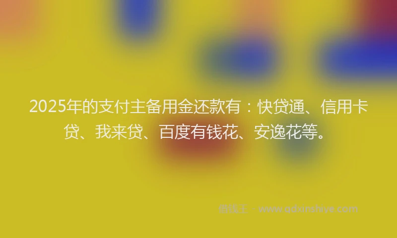 2025年的支付主备用金还款有：快贷通、信用卡贷、我来贷、百度有钱花、安逸花等。