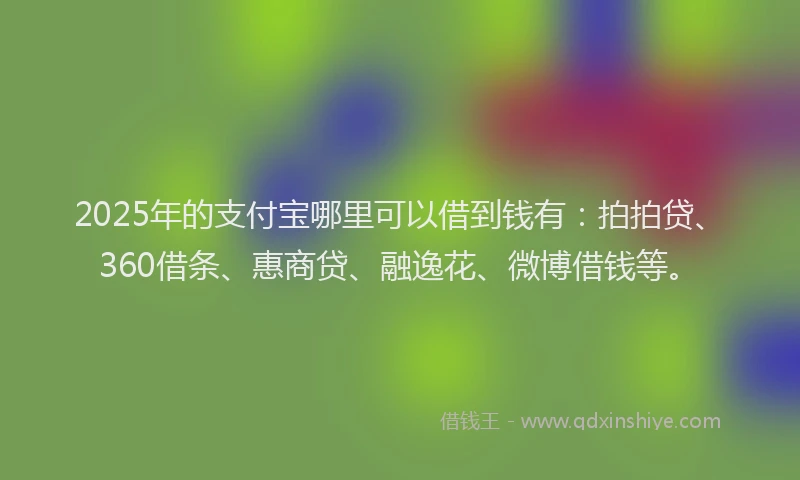 2025年的支付宝哪里可以借到钱有：拍拍贷、360借条、惠商贷、融逸花、微博借钱等。