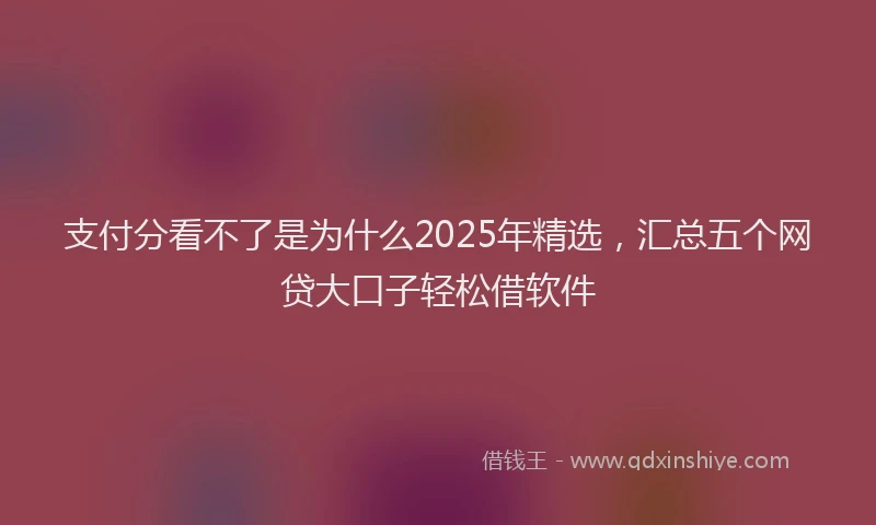 支付分看不了是为什么2025年精选，汇总五个网贷大口子轻松借软件