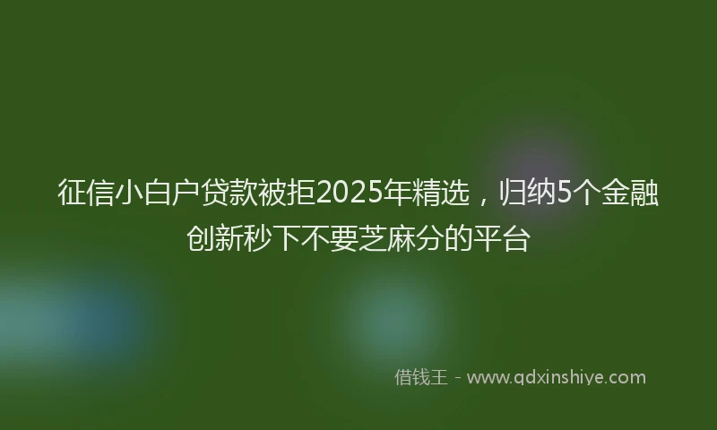 征信小白户贷款被拒2025年精选，归纳5个金融创新秒下不要芝麻分的平台