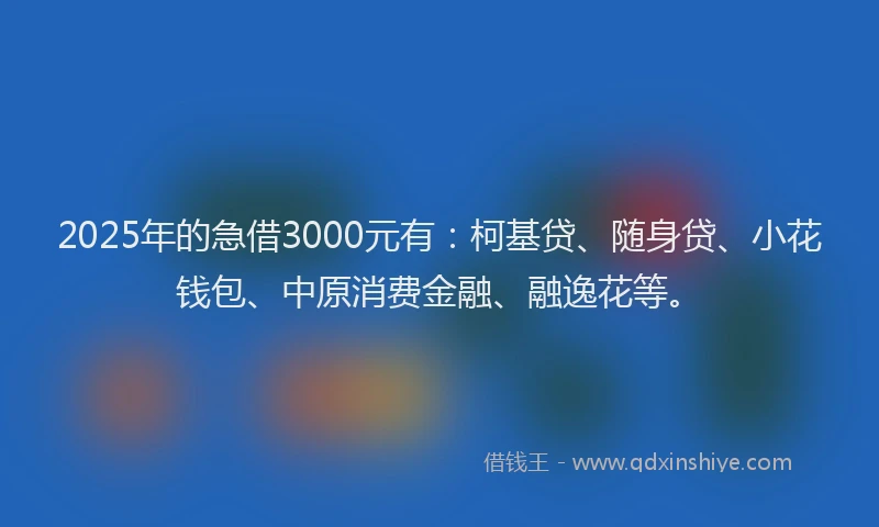 2025年的急借3000元有：柯基贷、随身贷、小花钱包、中原消费金融、融逸花等。