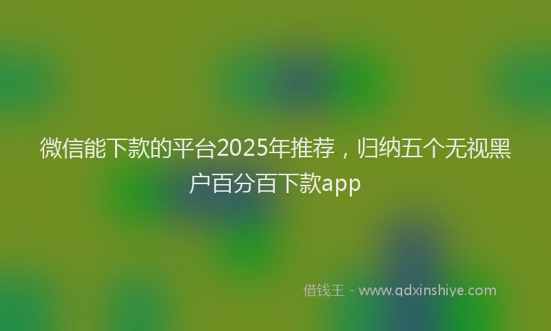 微信能下款的平台2025年推荐，归纳五个无视黑户百分百下款app
