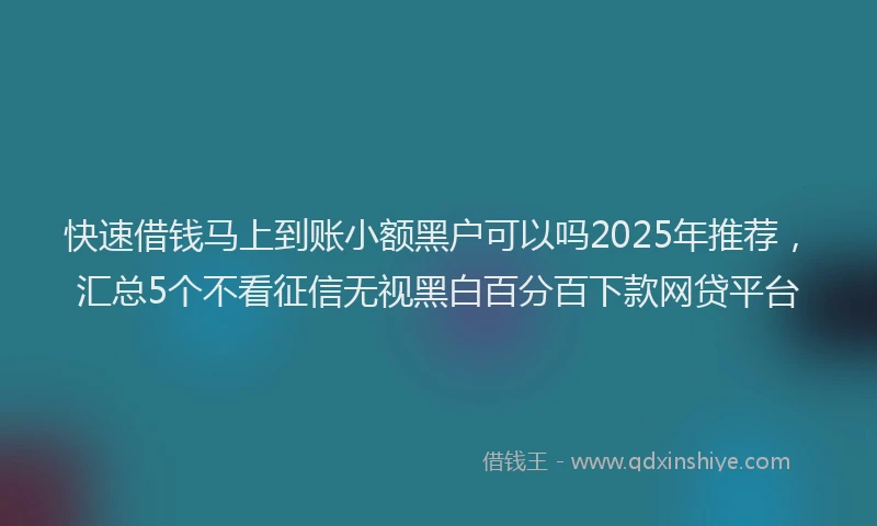快速借钱马上到账小额黑户可以吗2025年推荐，汇总5个不看征信无视黑白百分百下款网贷平台