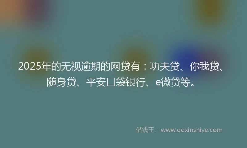 2025年的无视逾期的网贷有：功夫贷、你我贷、随身贷、平安口袋银行、e微贷等。