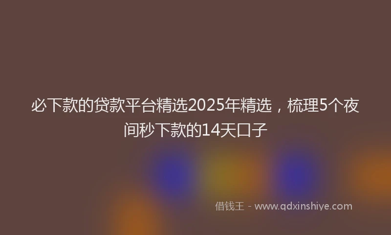 必下款的贷款平台精选2025年精选，梳理5个夜间秒下款的14天口子