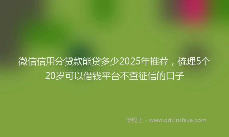 微信信用分贷款能贷多少2025年推荐，梳理5个20岁可以借钱平台不查征信的口子