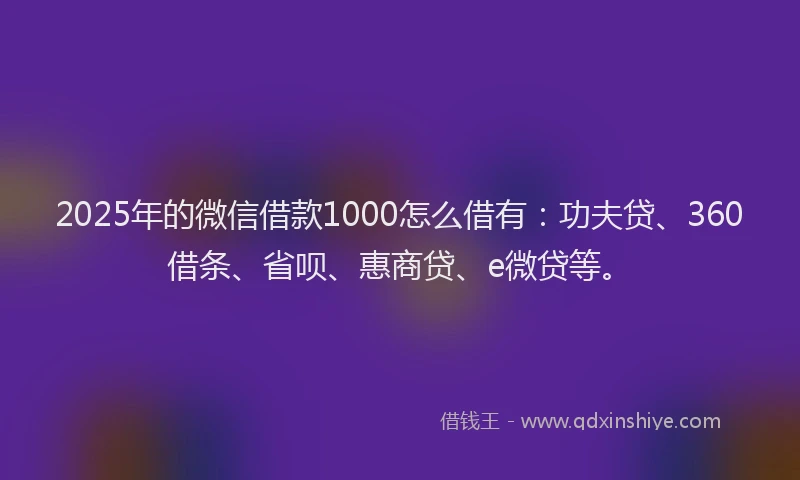 2025年的微信借款1000怎么借有：功夫贷、360借条、省呗、惠商贷、e微贷等。