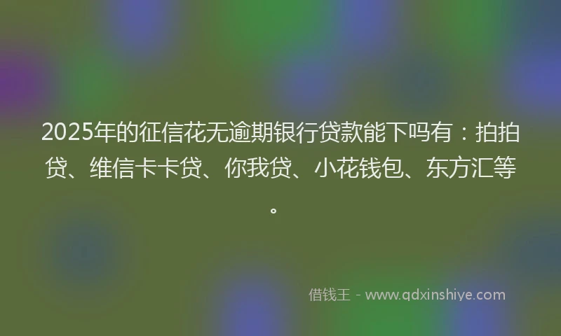 2025年的征信花无逾期银行贷款能下吗有：拍拍贷、维信卡卡贷、你我贷、小花钱包、东方汇等。