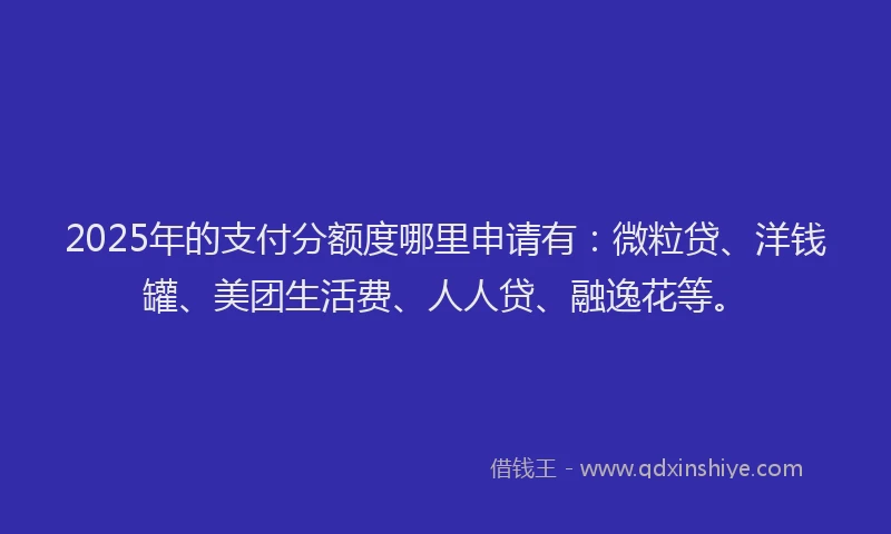 2025年的支付分额度哪里申请有：微粒贷、洋钱罐、美团生活费、人人贷、融逸花等。
