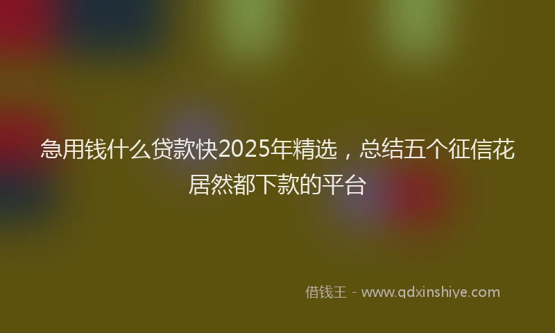 急用钱什么贷款快2025年精选，总结五个征信花居然都下款的平台