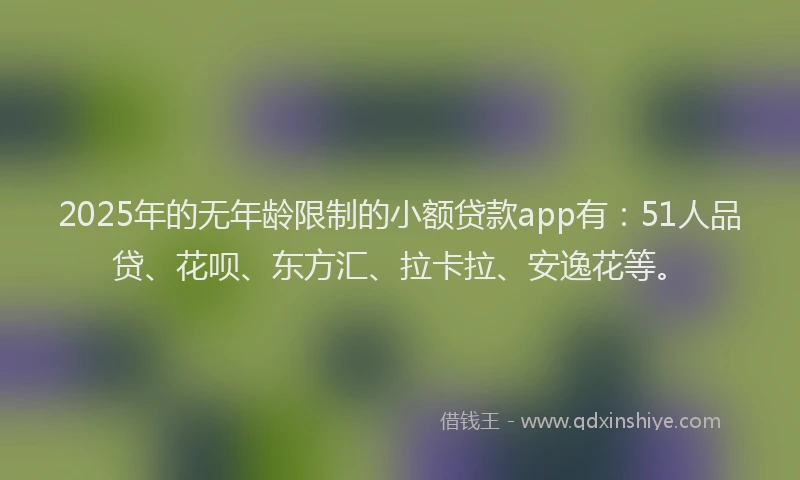 2025年的无年龄限制的小额贷款app有：51人品贷、花呗、东方汇、拉卡拉、安逸花等。