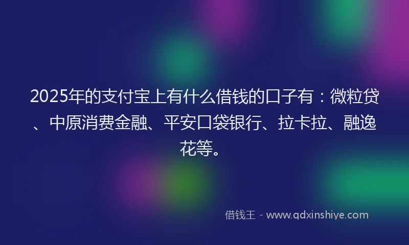 2025年的支付宝上有什么借钱的口子有：微粒贷、中原消费金融、平安口袋银行、拉卡拉、融逸花等。