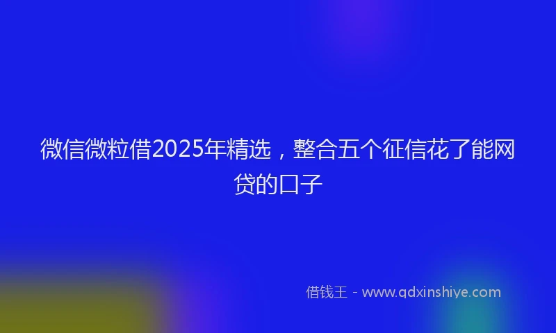 微信微粒借2025年精选，整合五个征信花了能网贷的口子