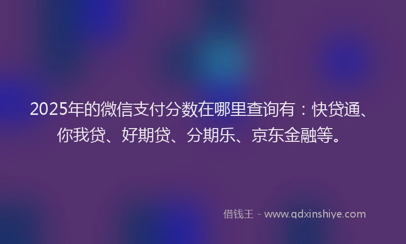 2025年的微信支付分数在哪里查询有：快贷通、你我贷、好期贷、分期乐、京东金融等。