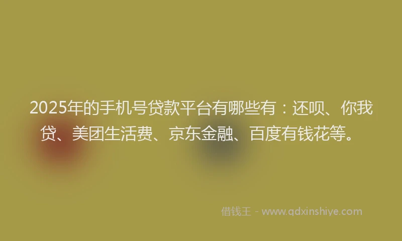 2025年的手机号贷款平台有哪些有：还呗、你我贷、美团生活费、京东金融、百度有钱花等。
