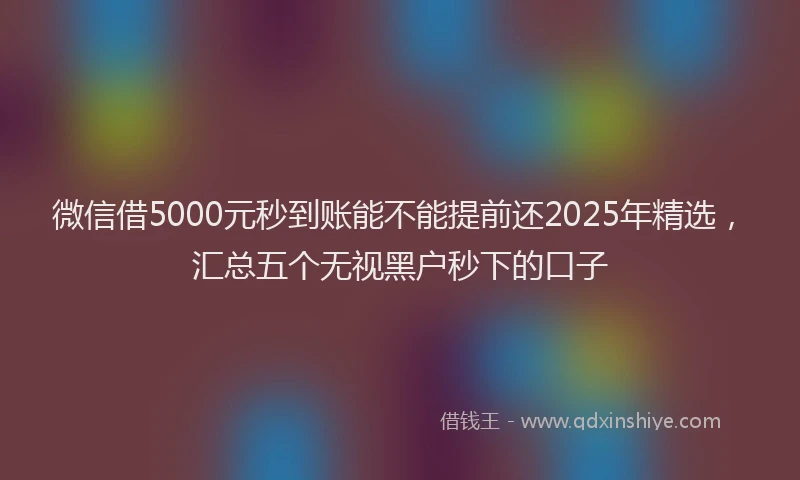 微信借5000元秒到账能不能提前还2025年精选，汇总五个无视黑户秒下的口子