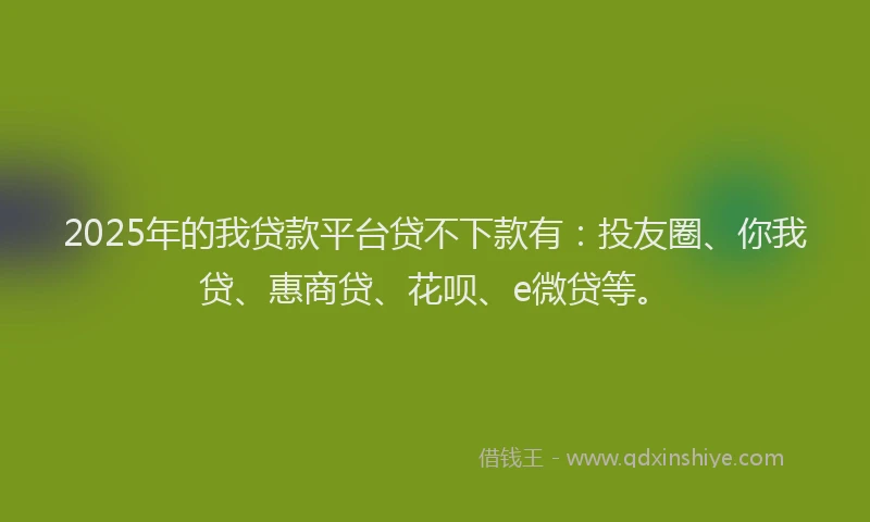 2025年的我贷款平台贷不下款有：投友圈、你我贷、惠商贷、花呗、e微贷等。