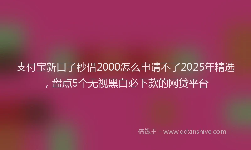 支付宝新口子秒借2000怎么申请不了2025年精选，盘点5个无视黑白必下款的网贷平台