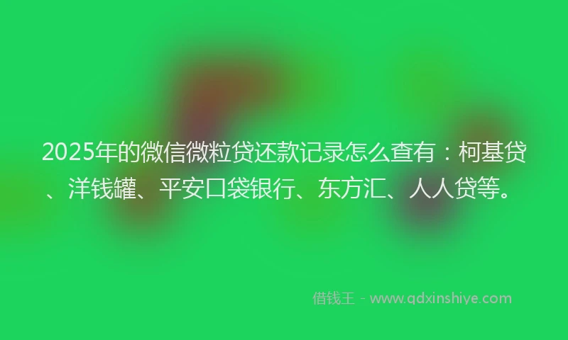 2025年的微信微粒贷还款记录怎么查有：柯基贷、洋钱罐、平安口袋银行、东方汇、人人贷等。
