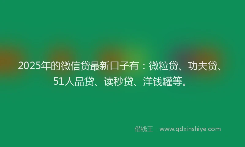 2025年的微信贷最新口子有：微粒贷、功夫贷、51人品贷、读秒贷、洋钱罐等。