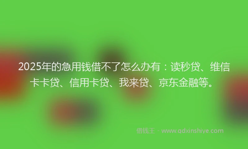 2025年的急用钱借不了怎么办有：读秒贷、维信卡卡贷、信用卡贷、我来贷、京东金融等。