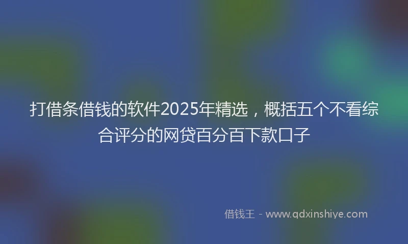 打借条借钱的软件2025年精选，概括五个不看综合评分的网贷百分百下款口子