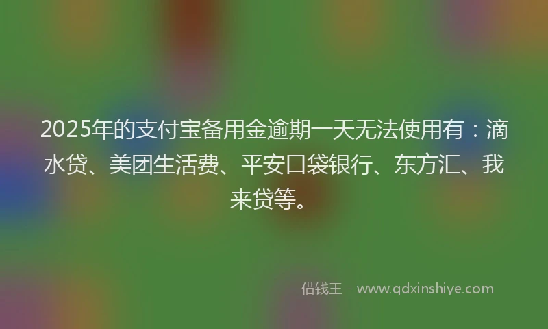 2025年的支付宝备用金逾期一天无法使用有：滴水贷、美团生活费、平安口袋银行、东方汇、我来贷等。