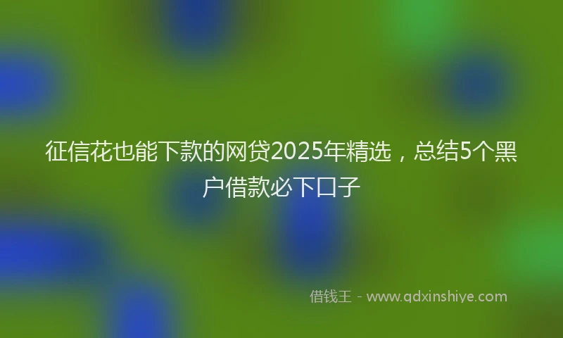 征信花也能下款的网贷2025年精选，总结5个黑户借款必下口子