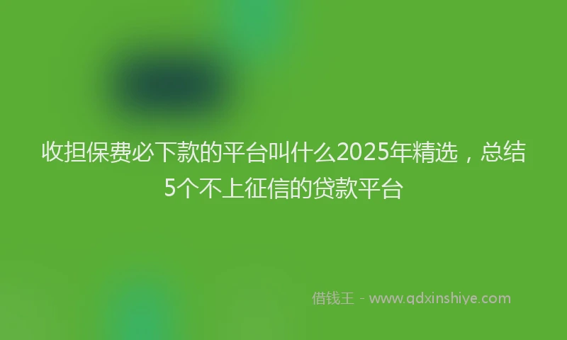收担保费必下款的平台叫什么2025年精选，总结5个不上征信的贷款平台