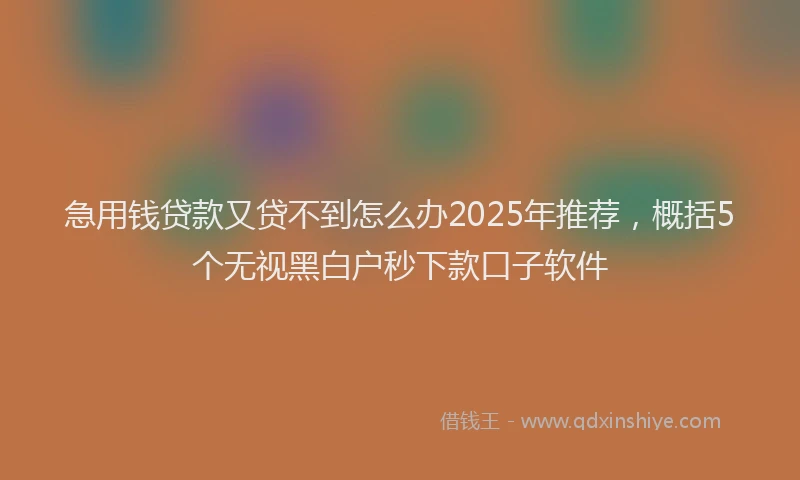 急用钱贷款又贷不到怎么办2025年推荐，概括5个无视黑白户秒下款口子软件