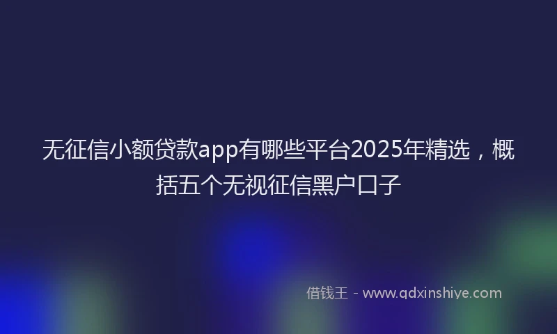 无征信小额贷款app有哪些平台2025年精选，概括五个无视征信黑户口子